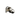BALA
